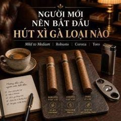 Người mới nên bắt đầu hút xì gà loại nào