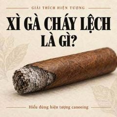 Xì gà bị cháy lệch - Hiểu hiện tượng và cách xử lý