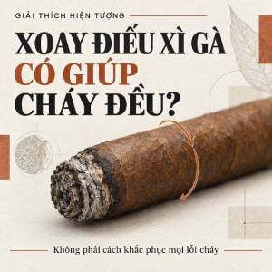 Xoay điếu xì gà có giúp cháy đều? Hiểu đúng tác dụng
