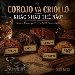 Corojo và Criollo khác nhau thế nào mà dân cigar hay nhầm