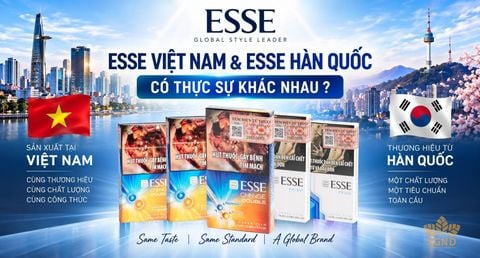 Thuốc Lá ESSE Việt Nam Và ESSE Hàn Quốc Có Khác Biệt Gì Không?