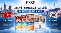 Thuốc Lá ESSE Việt Nam Và ESSE Hàn Quốc Có Khác Biệt Gì Không?