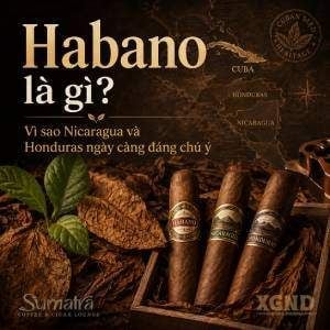 Habano thực sự là giống lá hay chỉ là một cái tên - Kiến thức Cigars