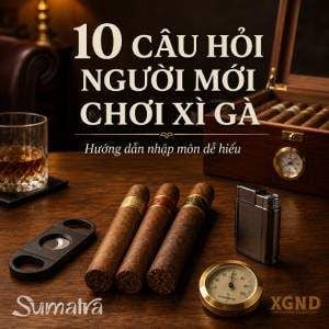 10 câu hỏi người mới chơi xì gà thường gặp nhất