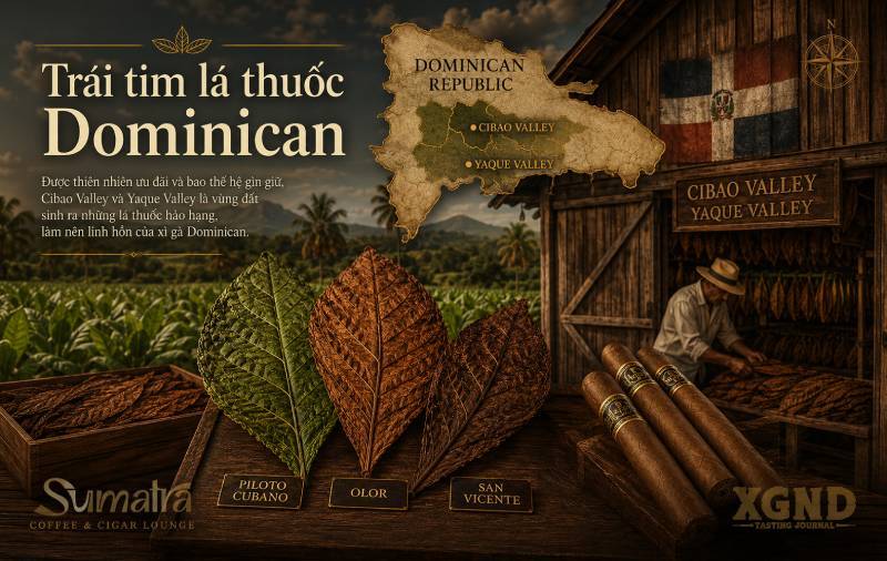 cigar Dominican, lá thuốc Dominican, xì gà Dominican Republic