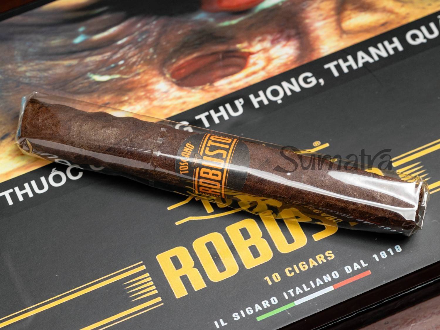 xì gà Toscano Robusto, xì gà Tos sữa, xì gà mini Toscano