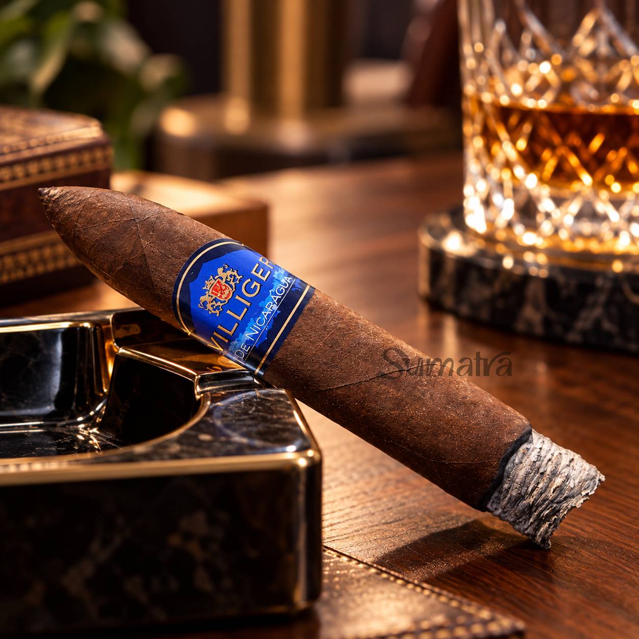 Villiger 10 Gran Torpedo Edición Limitada 2022