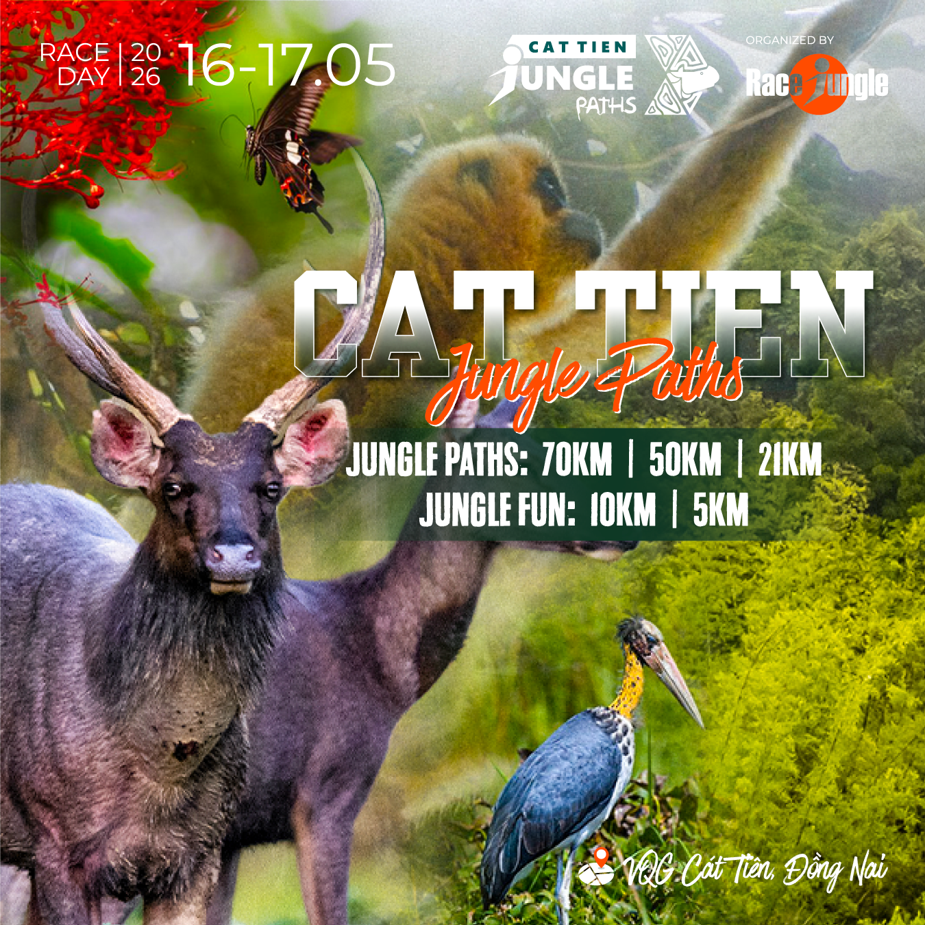 CAT TIEN JUNGLE PATHS