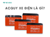 Acquy xe điên là gì? Xe điện dùng Ắc quy hay pin dùng tốt hơn?