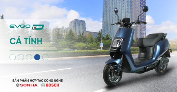 Xe điện EVGO D