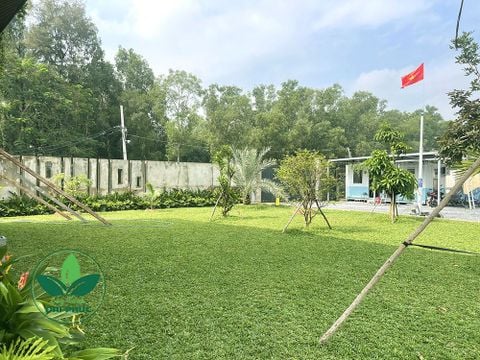 Thi công sân vườn cây ăn quả và cảnh quan anh Tùng tại Hóc Môn