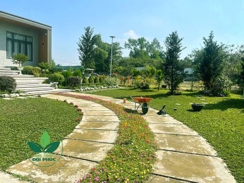Thi công cảnh quan sân vườn anh Nhàn, Củ Chi