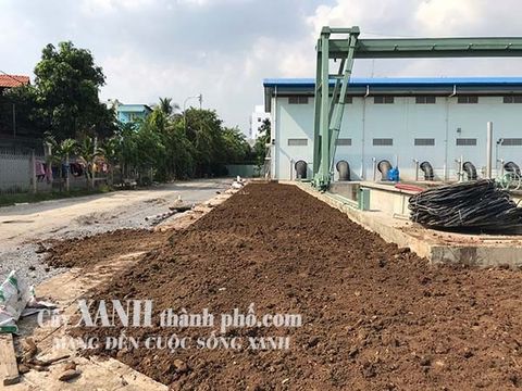 Trồng cây xanh cho dự án Trạm xử lý nước Đồng Diều