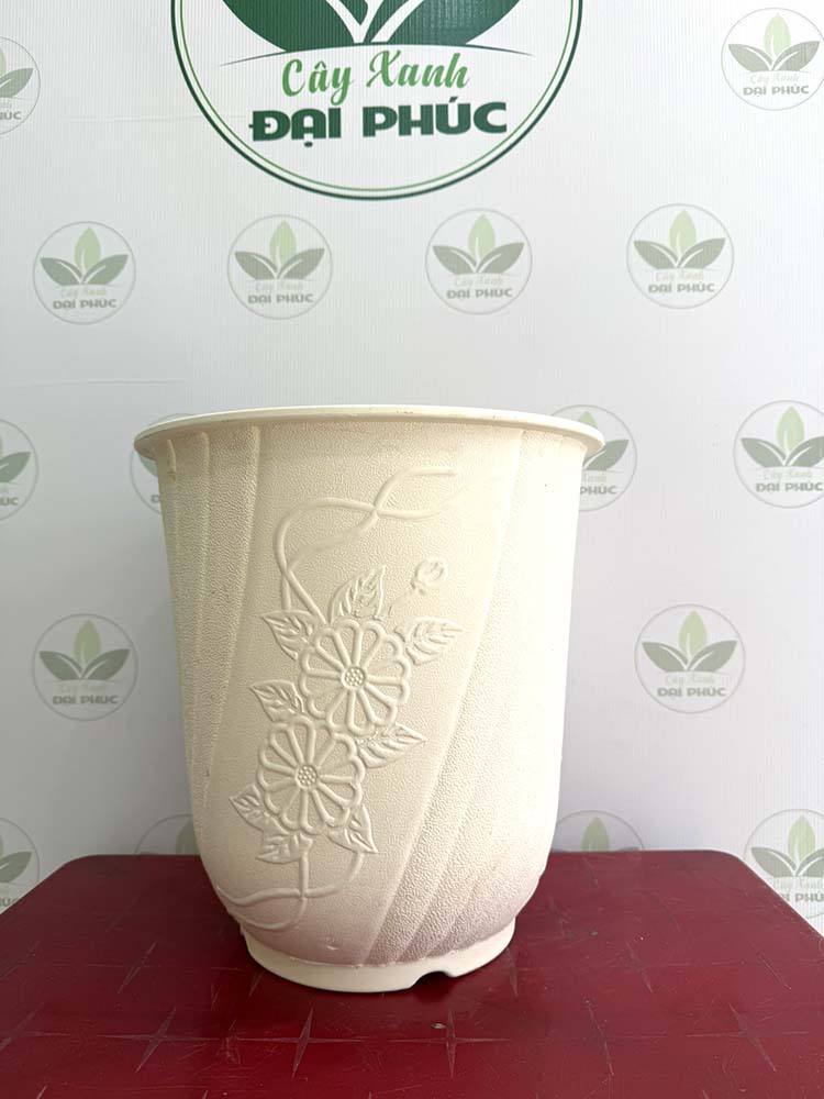 chậu nhựa trồng cây