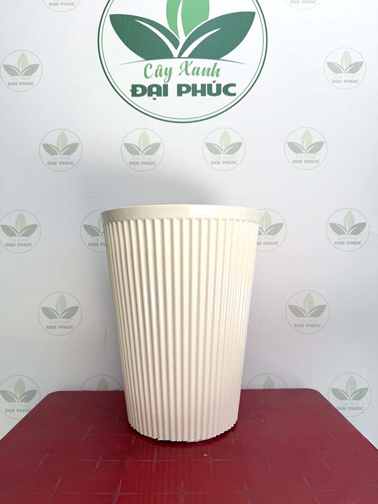 chậu nhựa trồng cây