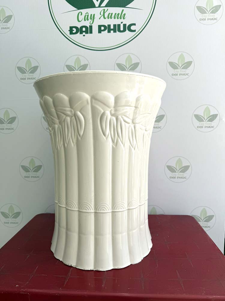 chậu nhựa trồng cây