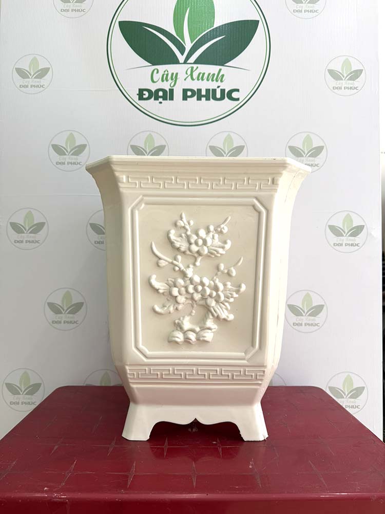 chậu nhựa trồng cây