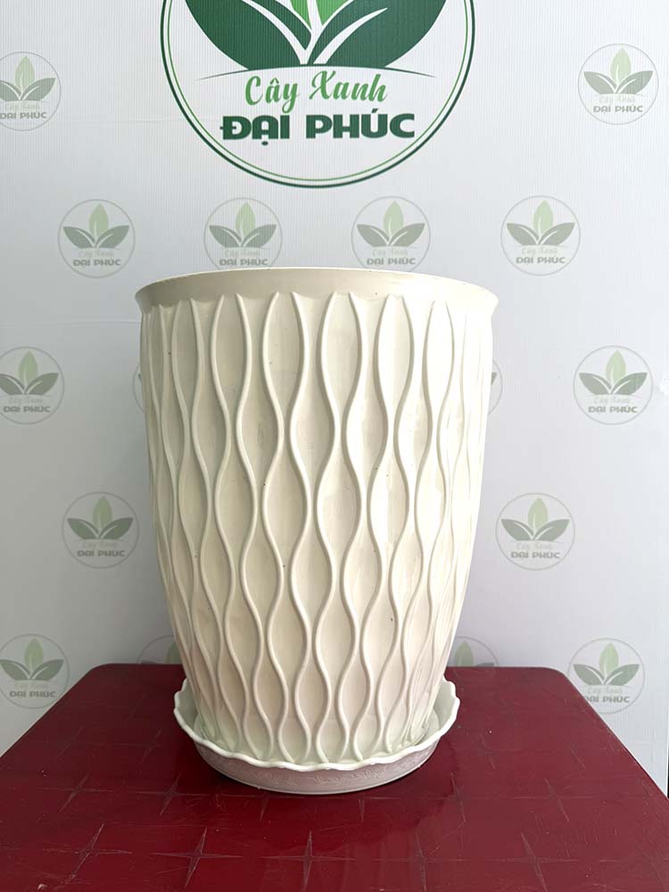chậu nhựa trồng cây