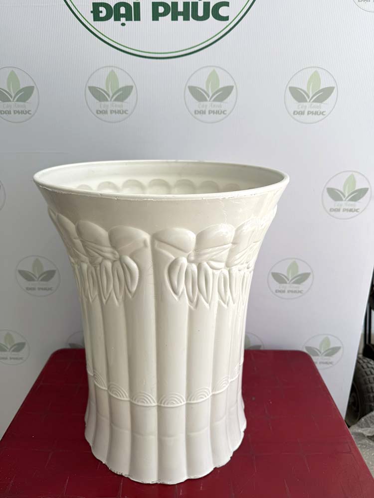 chậu nhựa trồng cây