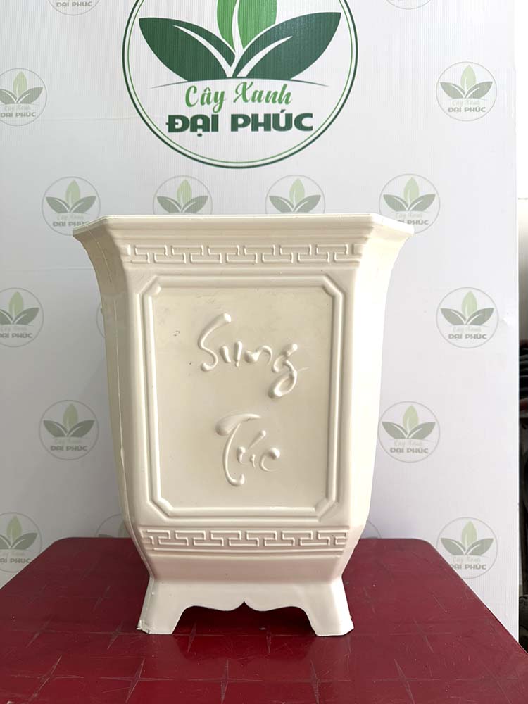 chậu nhựa trồng cây