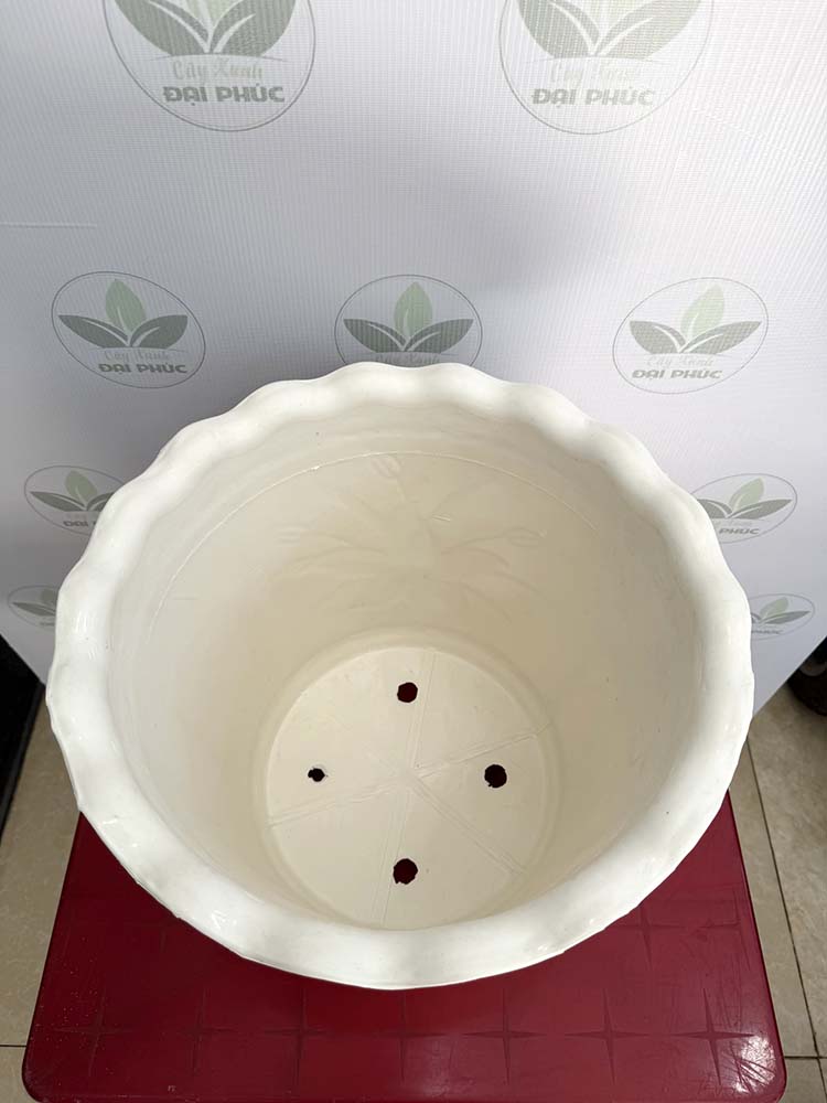 chậu nhựa trồng cây