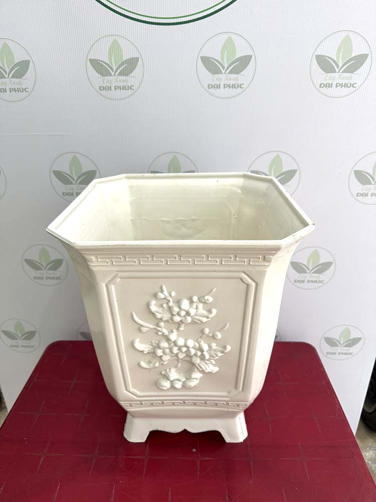 chậu nhựa trồng cây