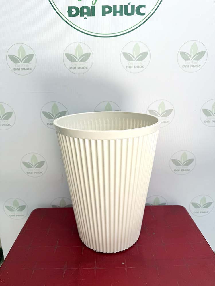 chậu nhựa trồng cây