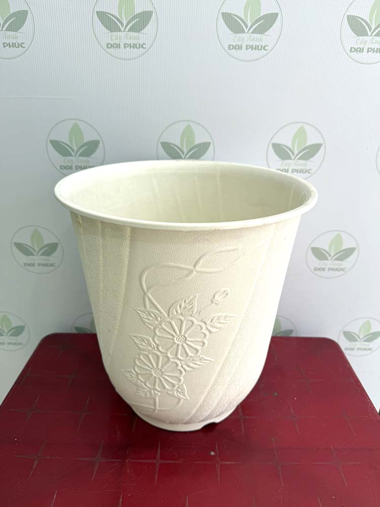 chậu nhựa trồng cây