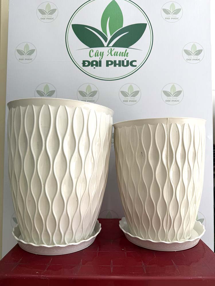 chậu nhựa