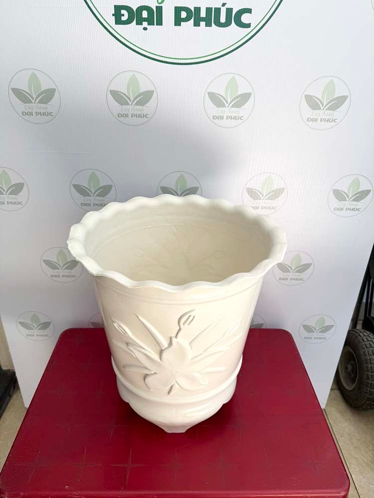 chậu nhựa trồng cây