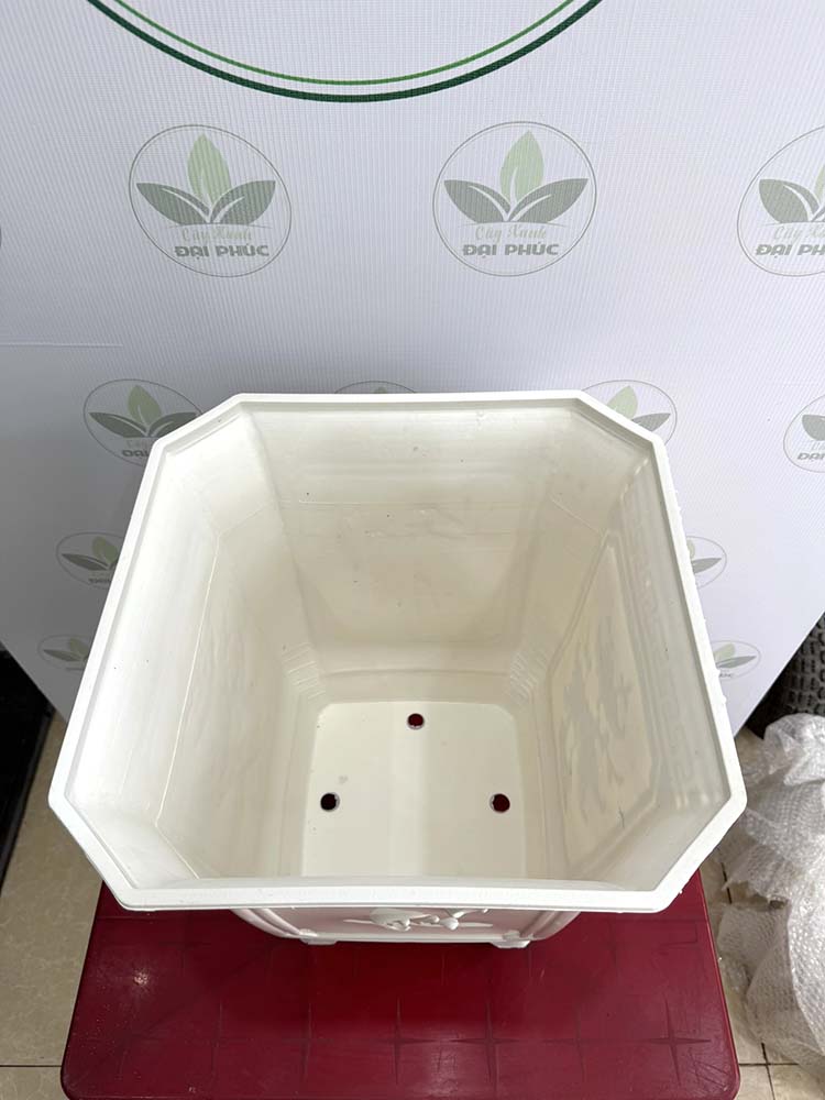 chậu nhựa trồng cây