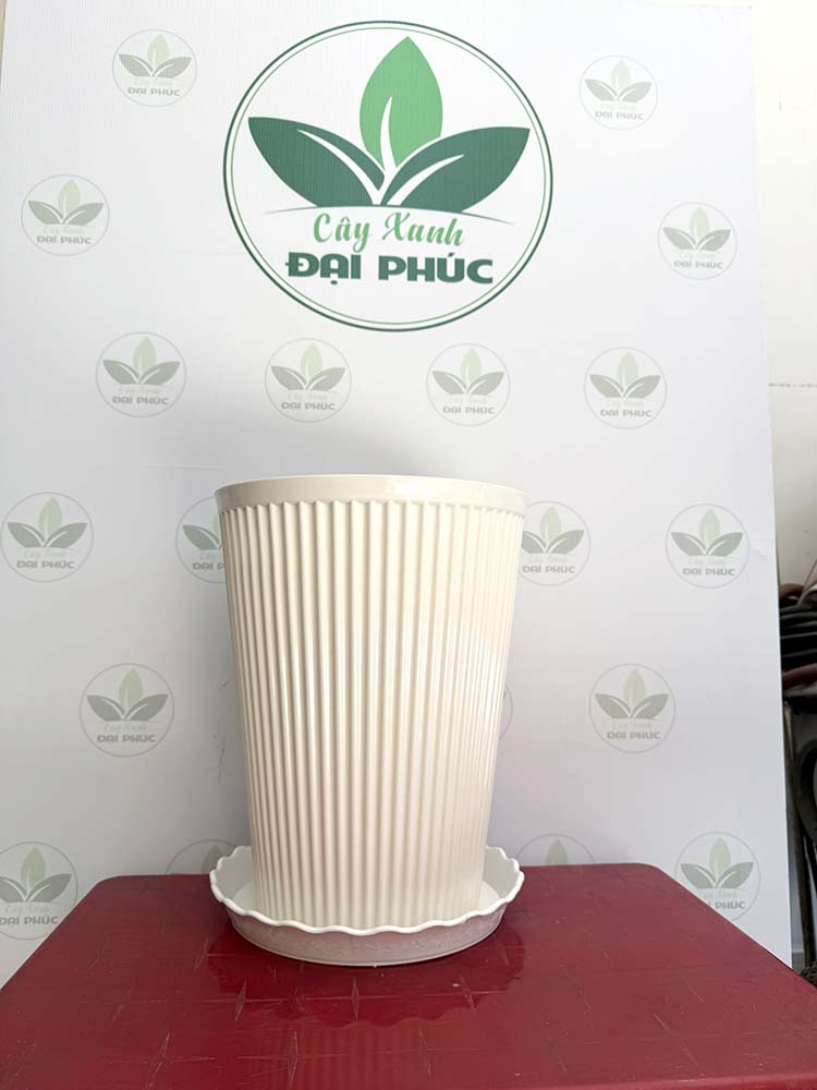 chậu nhựa trồng cây