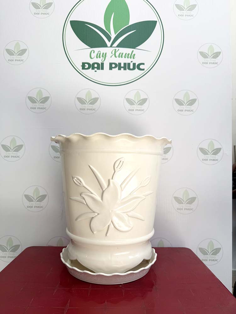 chậu nhựa trồng cây