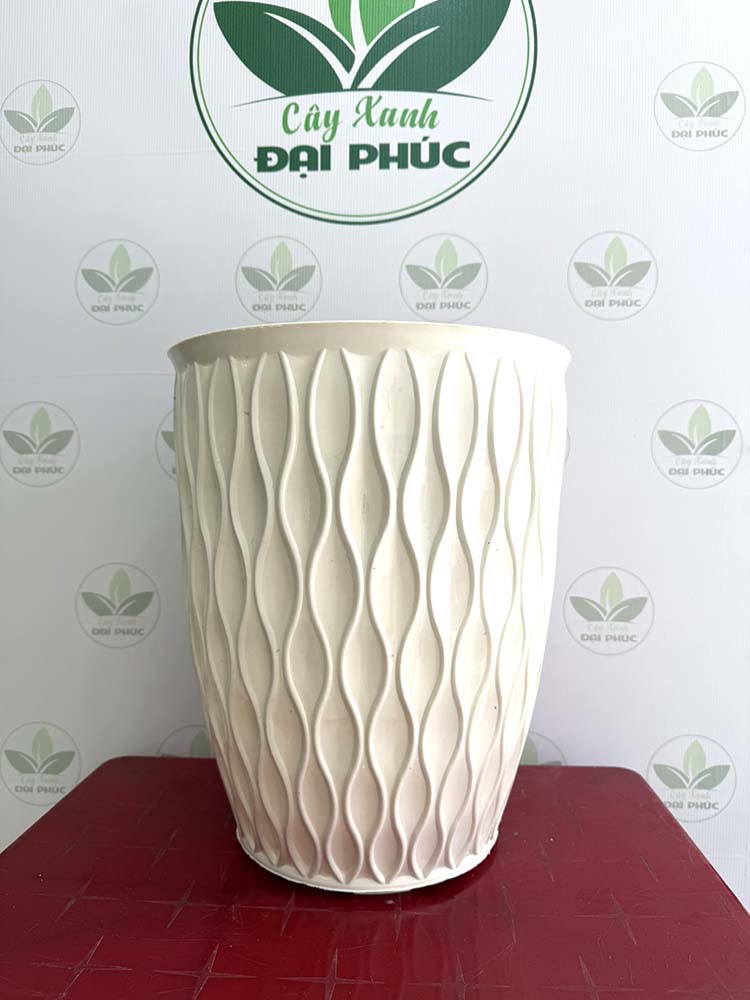 chậu nhựa trồng cây