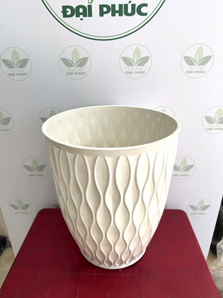 chậu nhựa trồng cây
