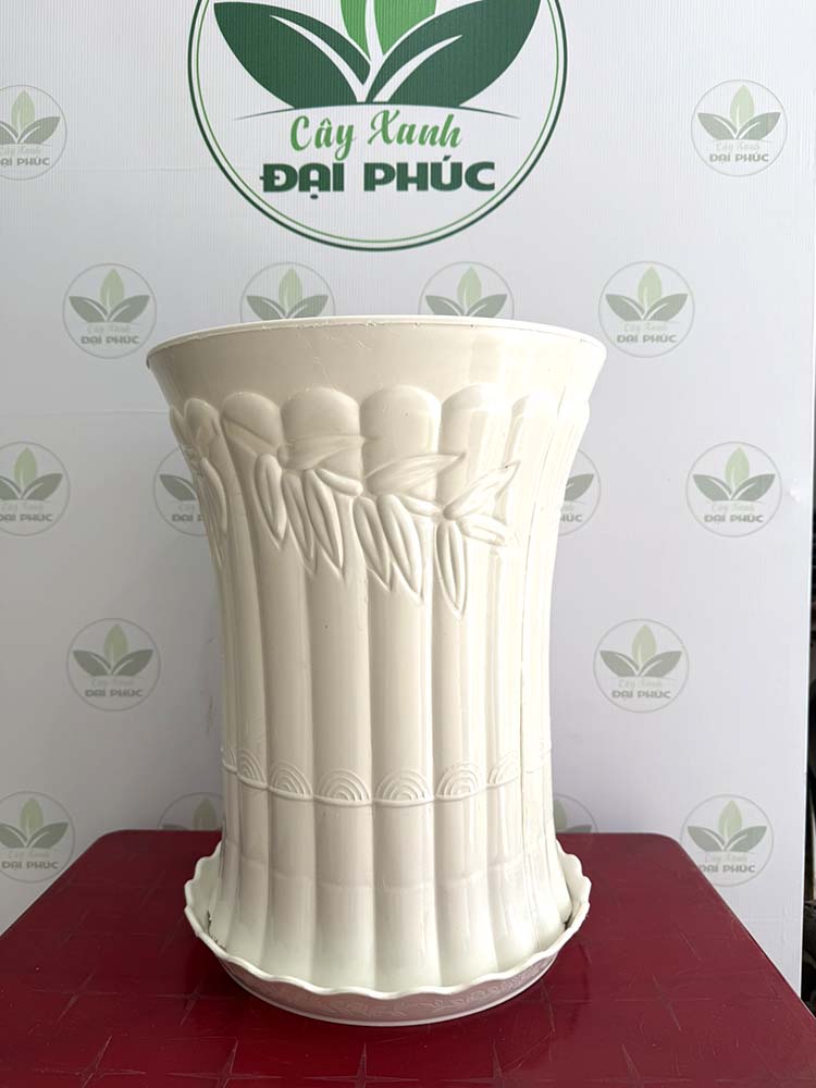 chậu nhựa