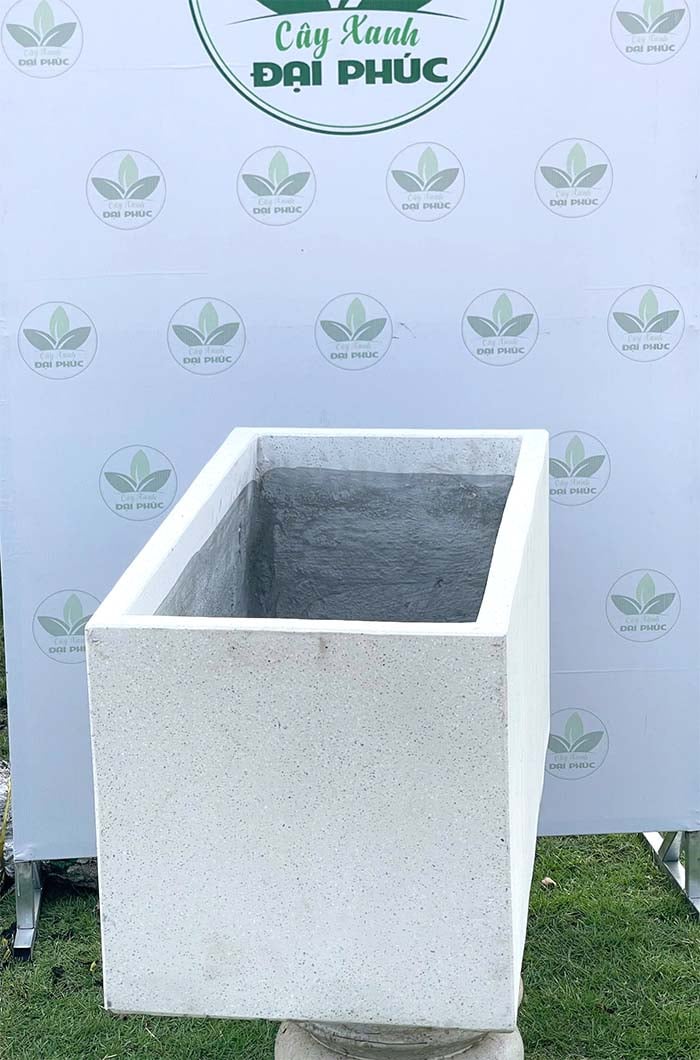chậu xi măng đá mài chữ nhật dài 80cm