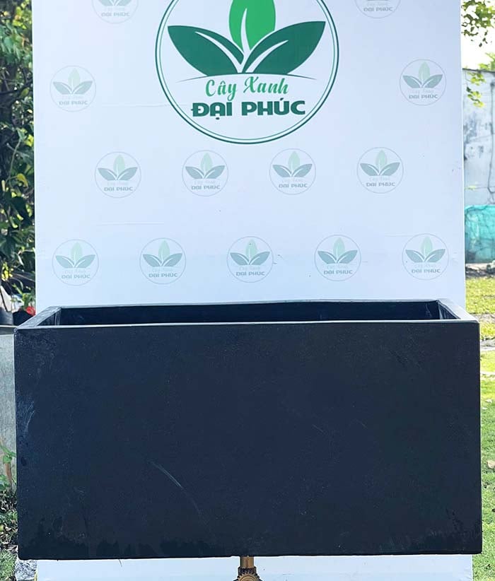 chậu xi măng đá mài hình chữ nhật