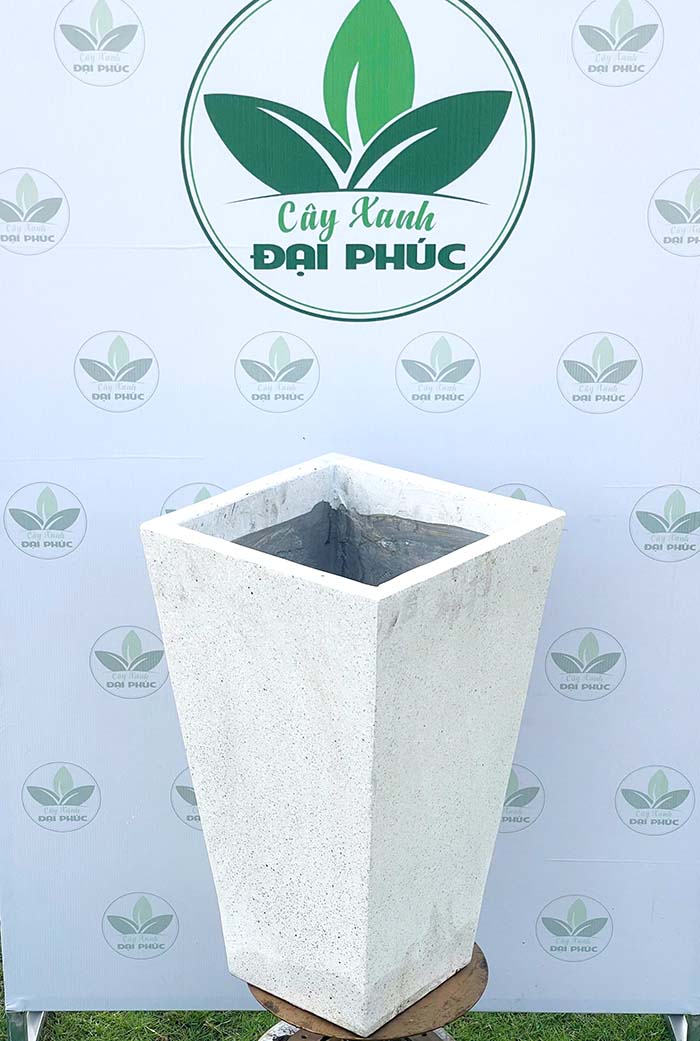 chậu xi măng đá mài