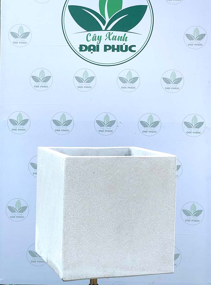 chậu xi măng đá mài vuông