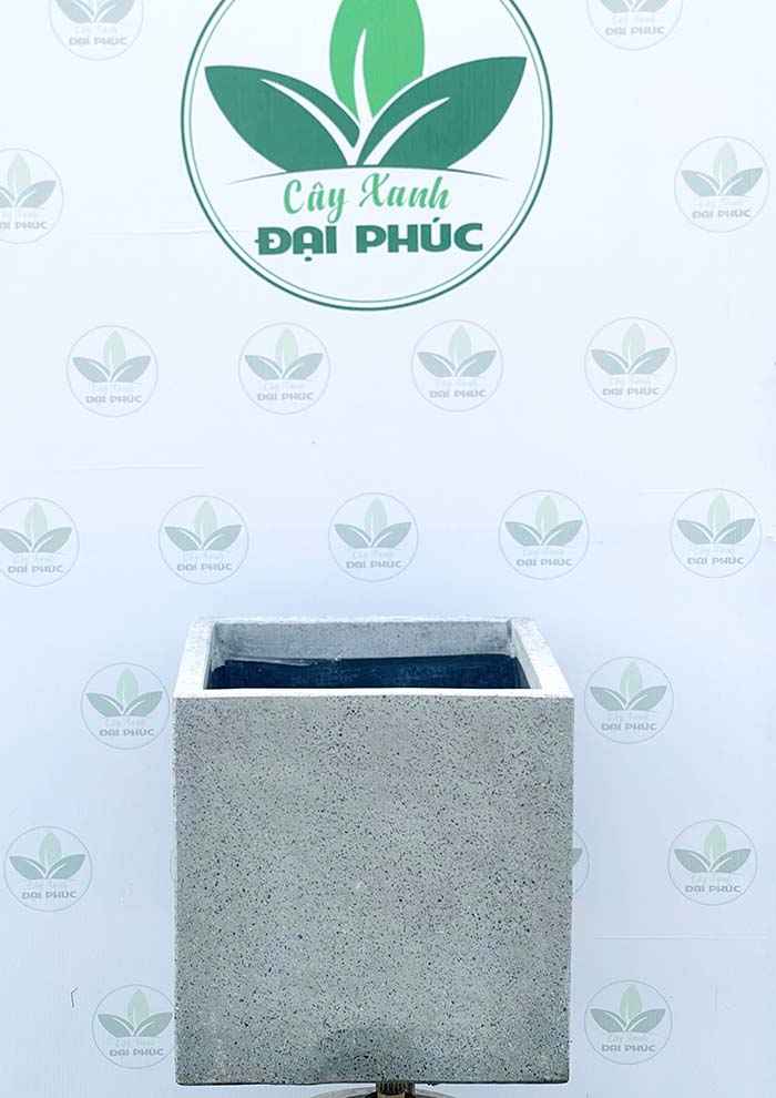 chậu xi măng đá mài vuông