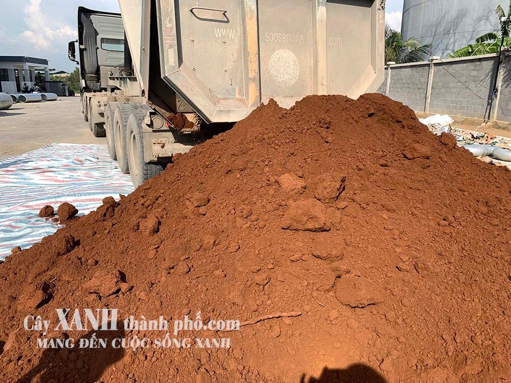 đất đỏ