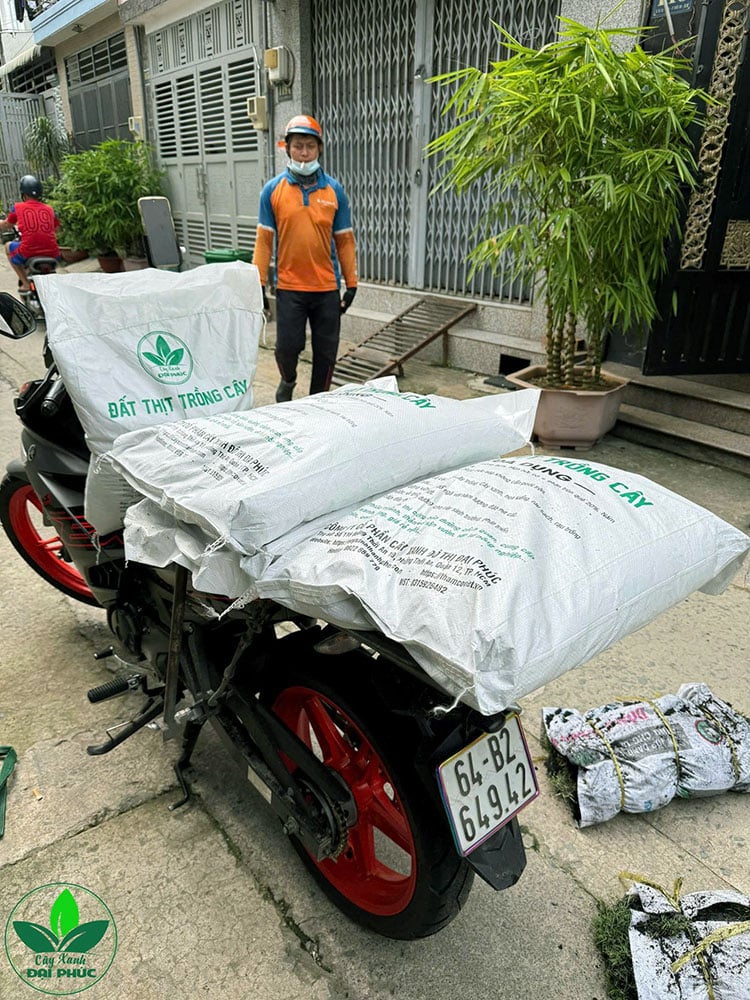 đất thịt trộn sẵn