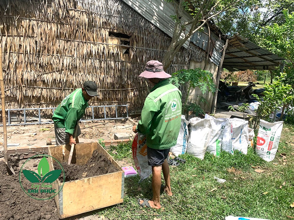 đất thịt tự nhiên trồng cây