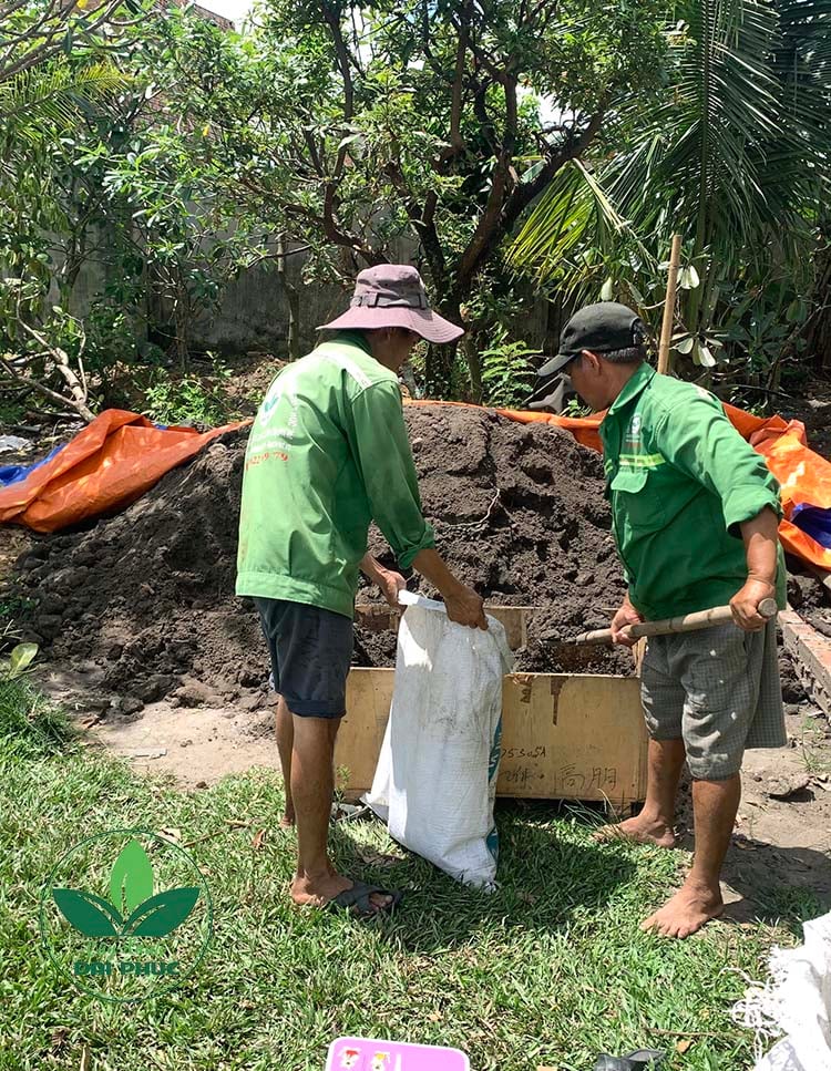 đất thịt tự nhiên trồng cây