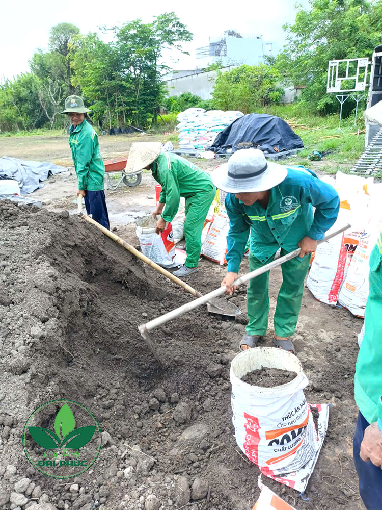 đất thịt tự nhiên