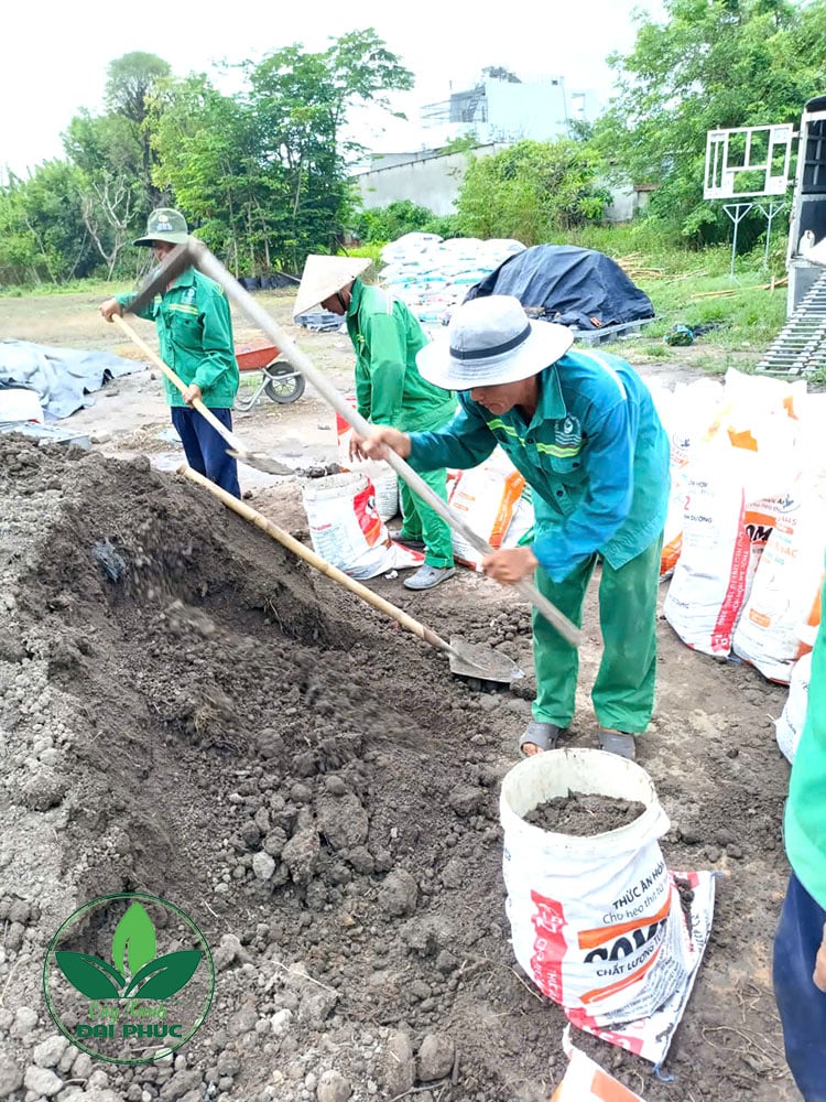 đất thịt tự nhiên