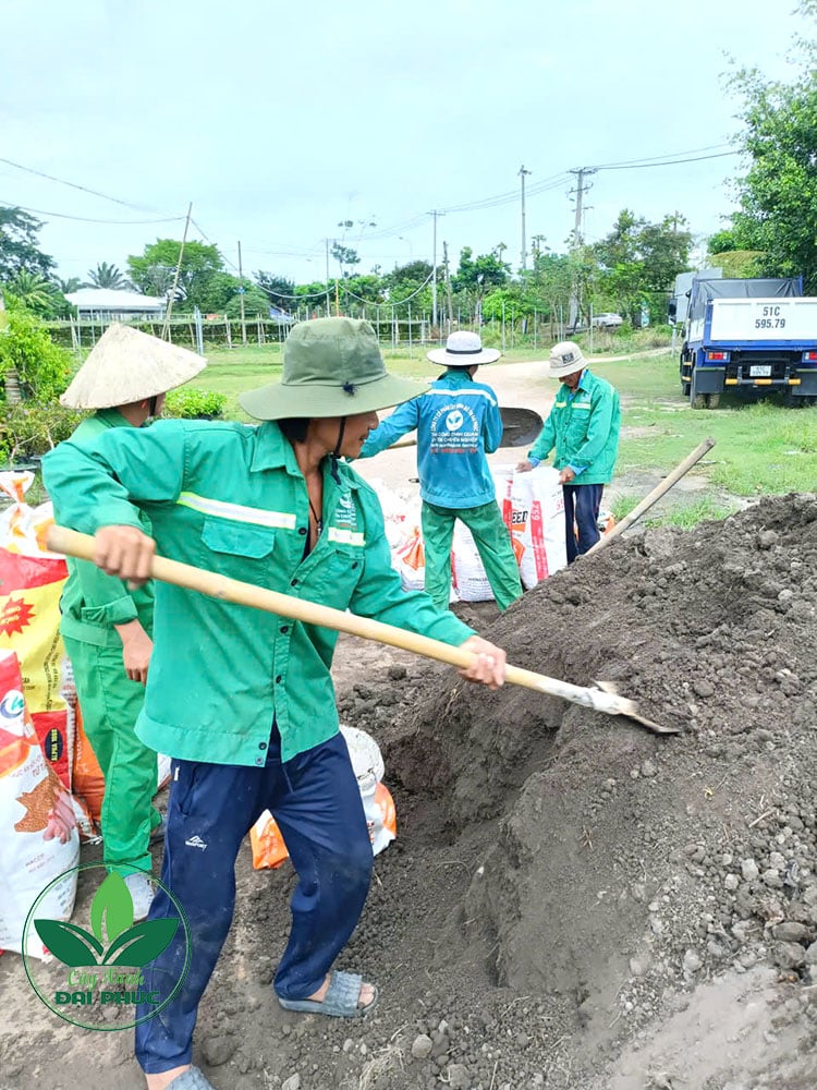 đất thịt tự nhiên