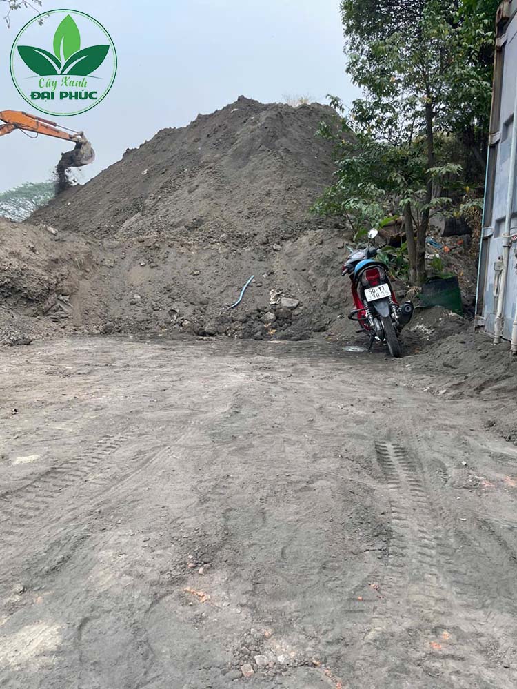 đất trồng cây