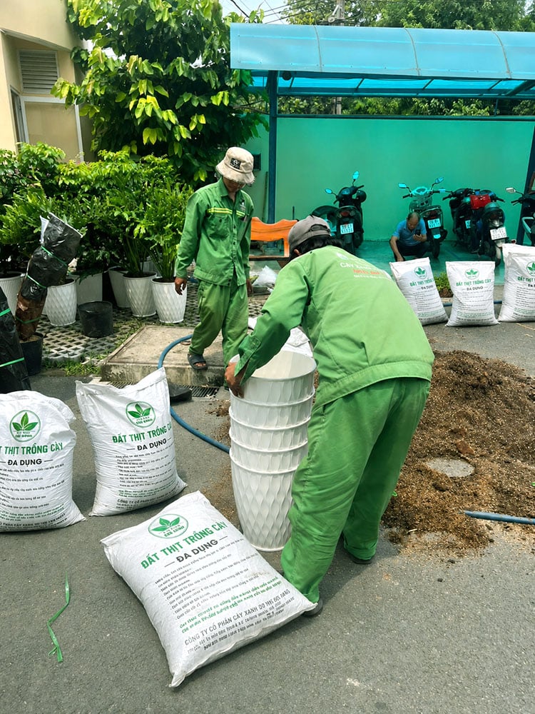 đất trồng cây trộn sẵn